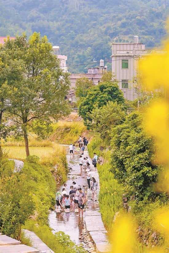 厦门同安：深耕希望田野 探寻振兴密码