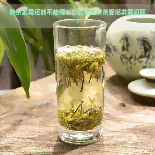 砖茶发霉还能不能喝？怎么处理砖茶受潮发霉问题？