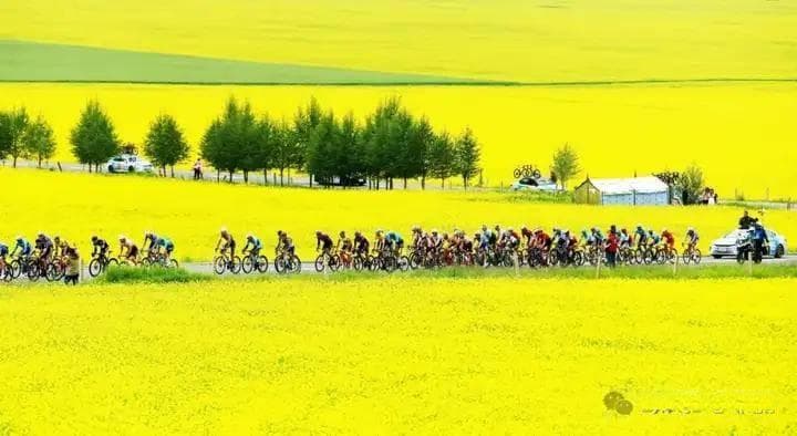 骑行必看：从山川到海岸！国内这10条绝美骑行路线你骑过几条？