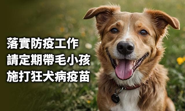 落实防疫工作，请定期带宠物接种狂犬病疫苗