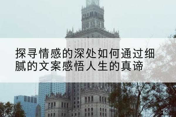 探寻情感的深处如何通过细腻的文案感悟人生的真谛