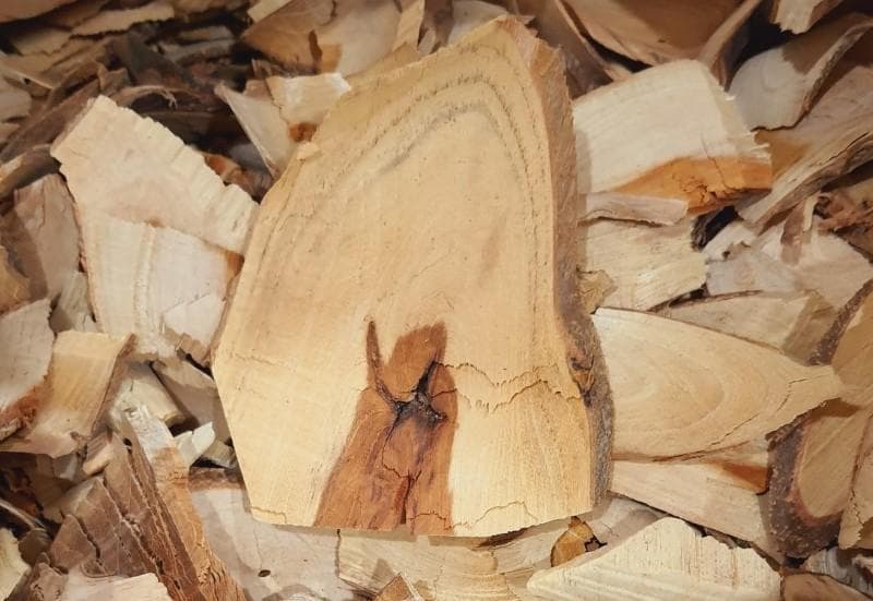 黄金桂(白刺格仔, 穿破石)妙用大解析：从中药材到消暑饮品