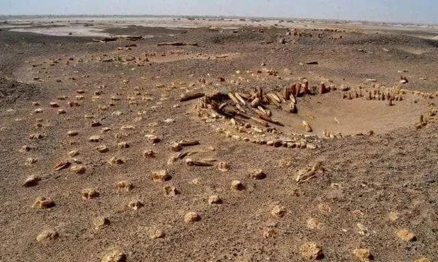 新疆发现不腐女尸，4000年"小河公主"重现人间，复原相貌惊艳世人