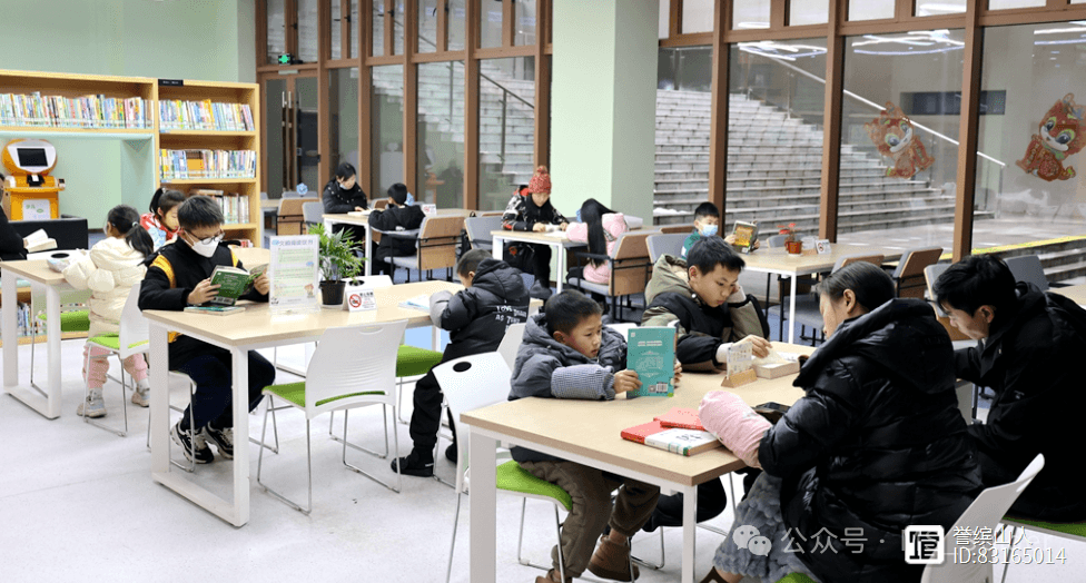 人类学习能力分化：从共性到个性的探索与共赢之道