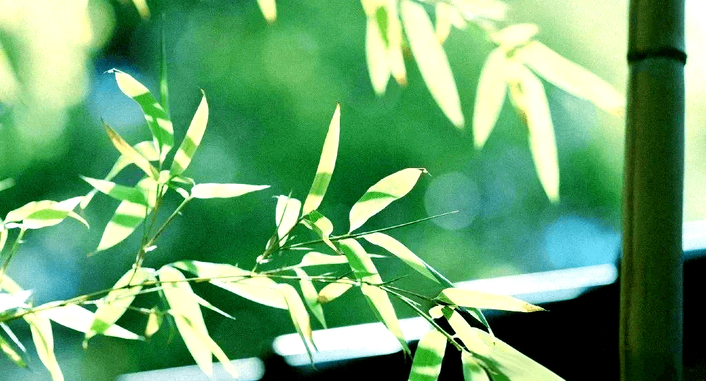 买房投资的多种底层逻辑与策略
