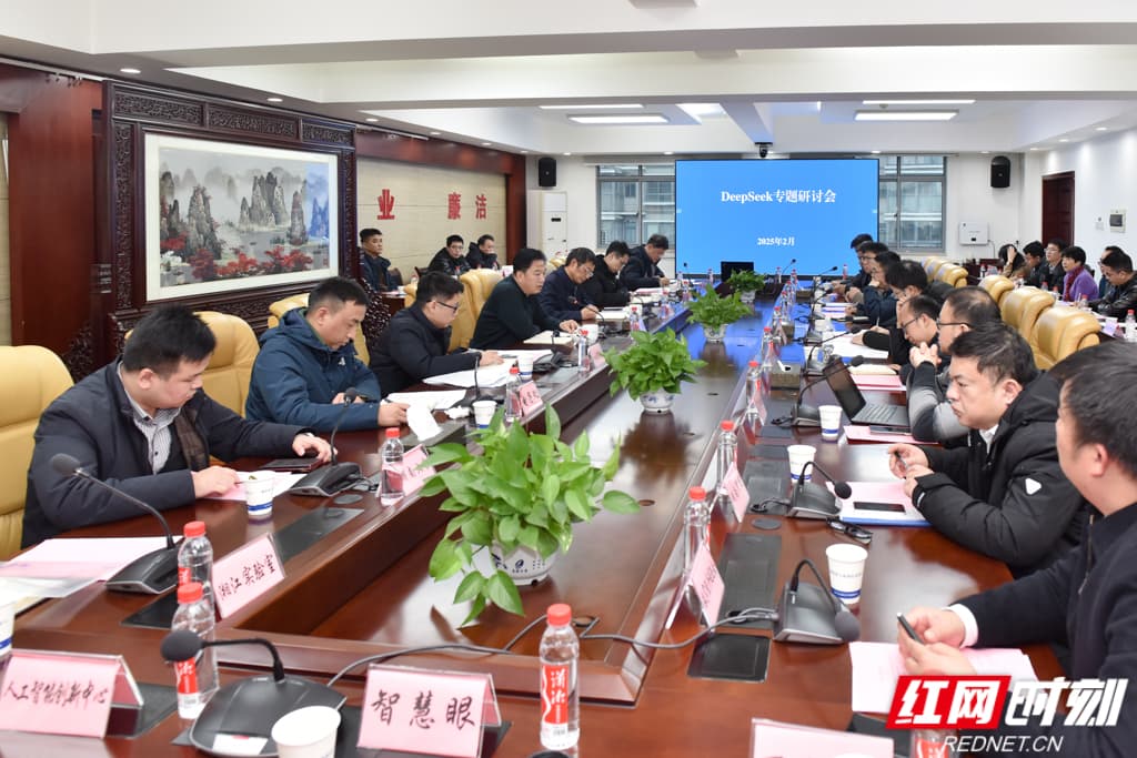 DeepSeek大模型赋能湖南产业升级，AI浪潮下的机遇与挑战