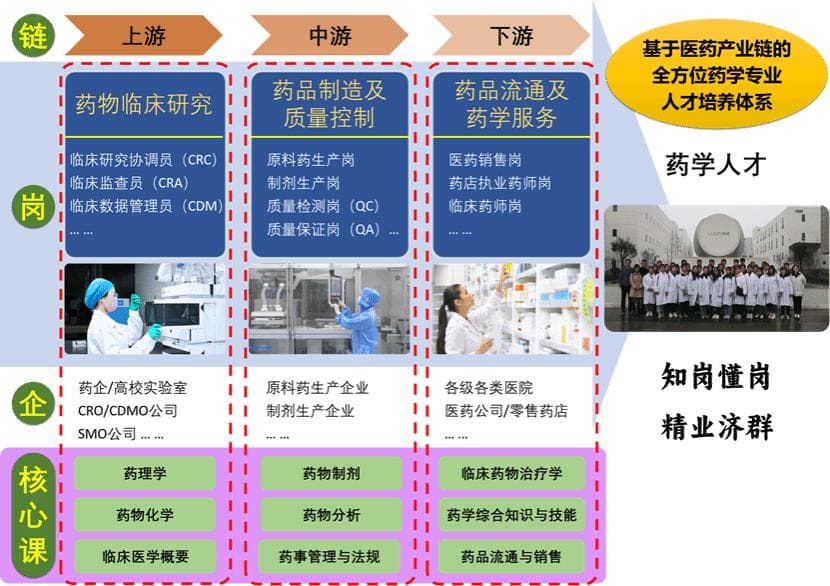 药学专业详解：课程设置、实践教学与就业前景