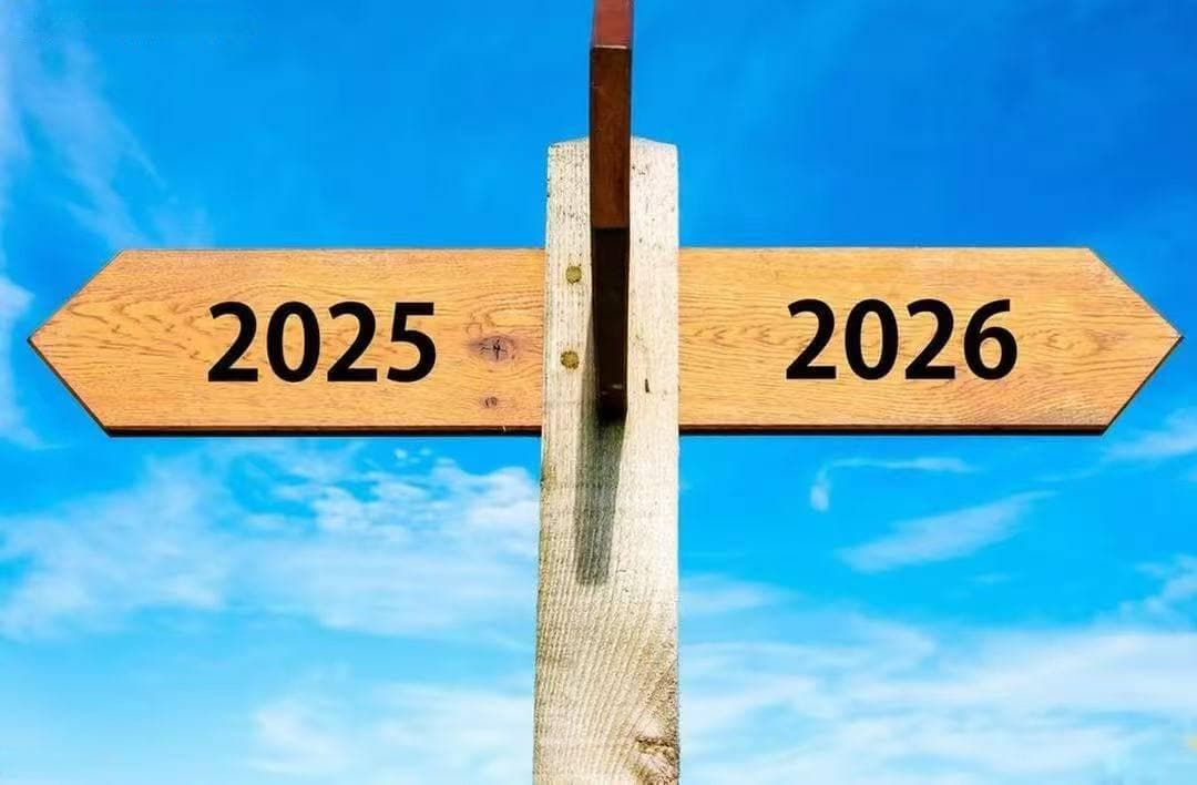 己土命人：2025乙巳年运势详解