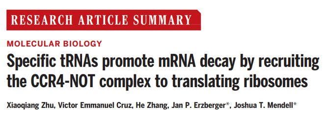 Science 重磅：改写教科书，国人一作揭示 tRNA 还有一种额外功能