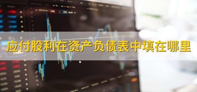 应付股利在资产负债表中填在哪里