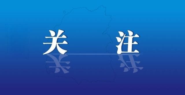 甘肃陇西黄土地种出“金”药材