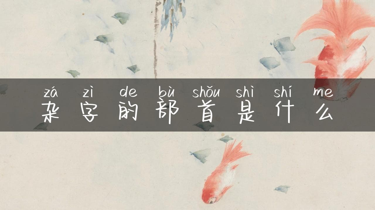 “杂”字的部首是什么？揭秘汉字背后的奥秘