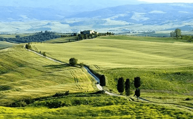 基安蒂Chianti