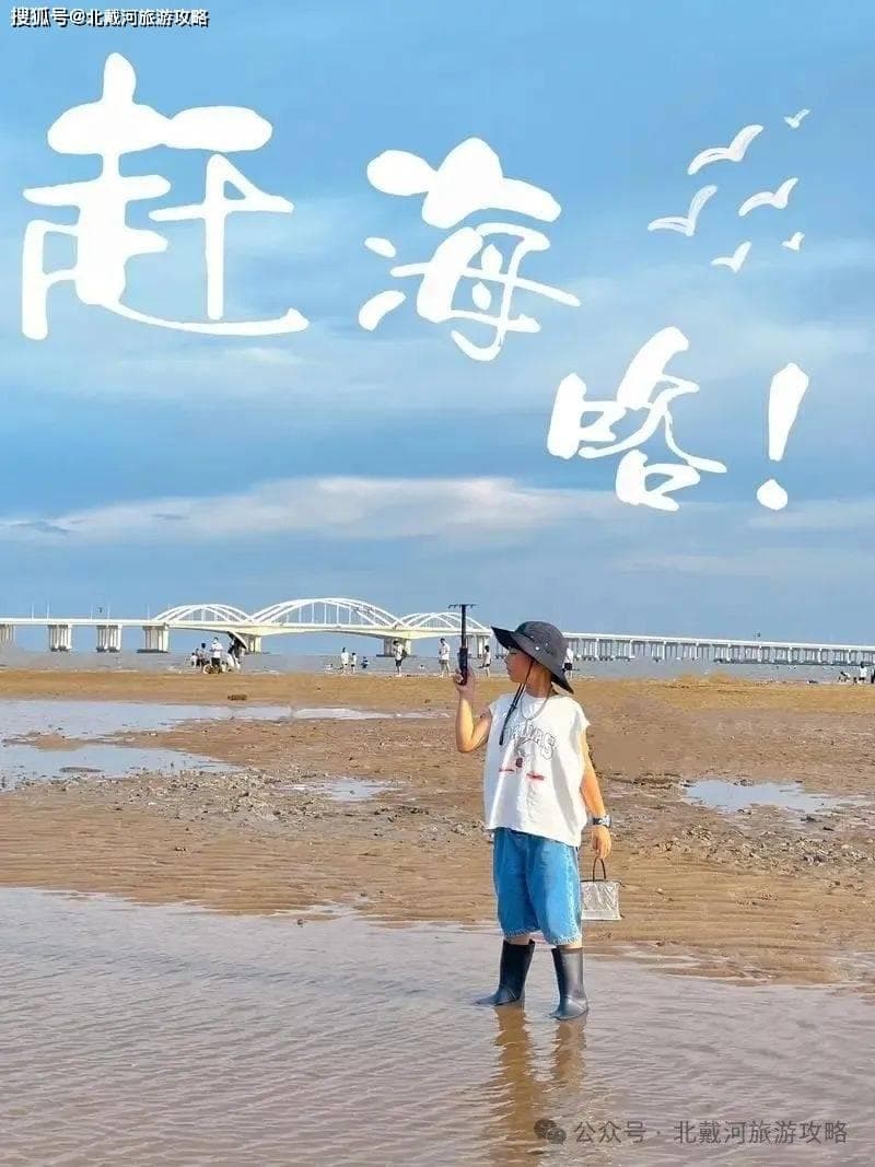 北戴河赶海全攻略：时间、地点、工具一应俱全