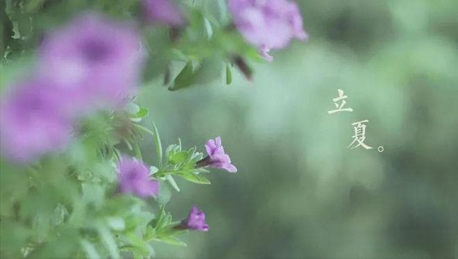 立夏吃4宝，全年病不扰：豌豆、立夏蛋、立夏饭、立夏面的习俗与寓意