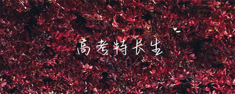 高考特长生如何脱颖而出？全面解析高考特长生政策及备考策略