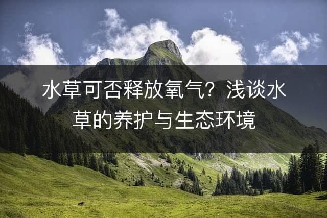 水草可否释放氧气？浅谈水草的养护与生态环境