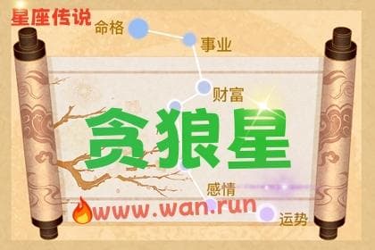 紫微斗数十四主星之贪狼星
