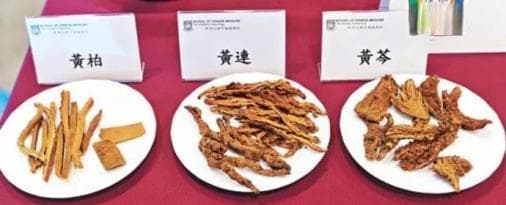 “三黄”之中黄芩独可用：孕期妇女的清热解毒良药