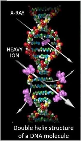 NASA的银河宇宙射线模拟器 –在地球上研究太空辐射的影响