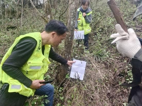 在国家公园里，为大熊猫和它的邻居们搭建交流“鹊桥” ｜国际生物多样日