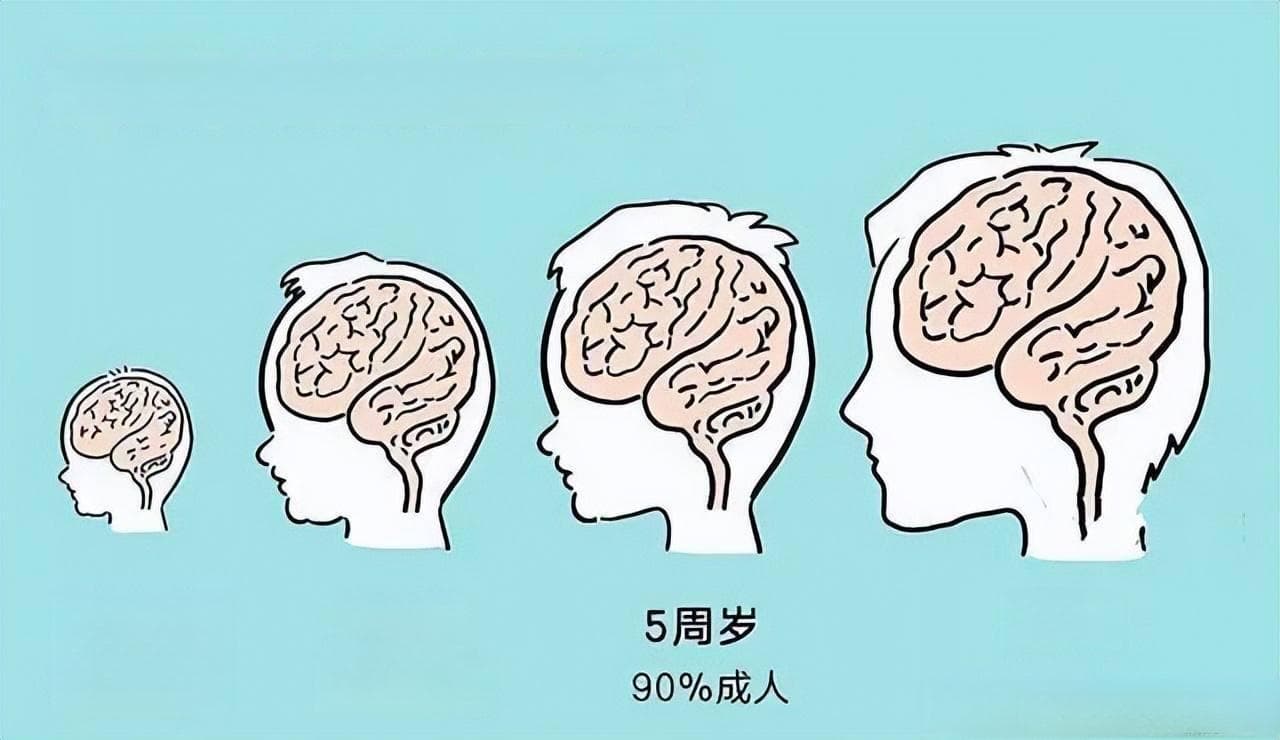 0~3 岁是宝宝大脑发育黄金期！做好这几件事，宝宝更聪明哦！