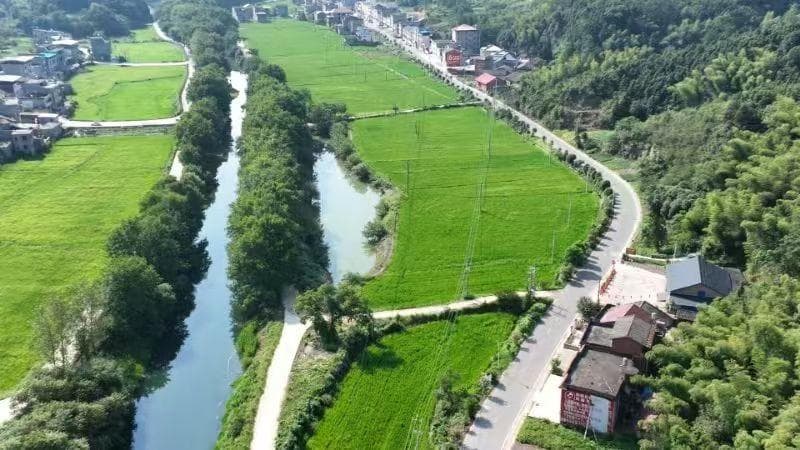湖北阳新：120公里“四好农村路” 铺就乡村振兴“幸福路”