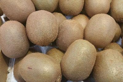 乐业县特产盘点：猕猴桃、铁皮石斛等十大特产详解
