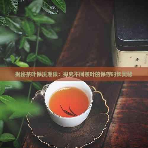 揭秘茶叶保质期限：探究不同茶叶的保存时长奥秘