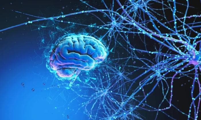 胡海岚团队抑郁症研究登上最新《科学》，找到氯胺酮抗抑郁的起点