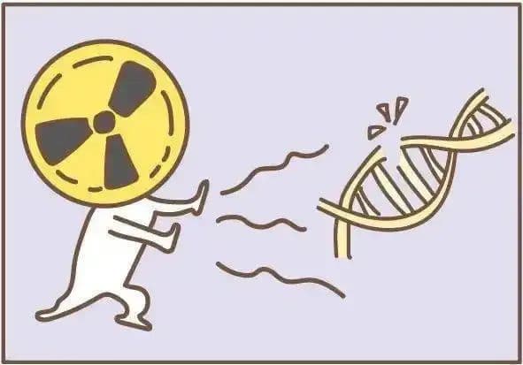 致畸？孕期接触到放射线，孩子还能要吗？