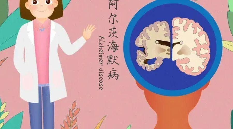 与记忆的小偷斗智斗勇，老年性痴呆的药物治疗和管理