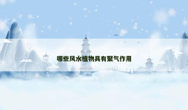 五种风水植物：聚气招财又净化空气