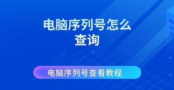 电脑序列号怎么查询？一文详解Windows和Mac系统查询方法