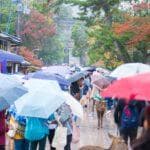 日本梅雨季旅游攻略：6-7月赴日旅行完全指南