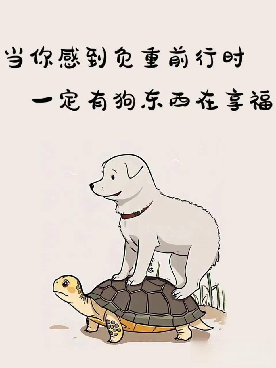 皮亚杰的两个理论三个实验
