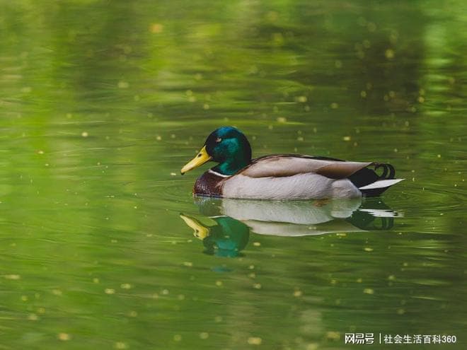 春日亲子游清单：在大自然中收获成长与欢乐