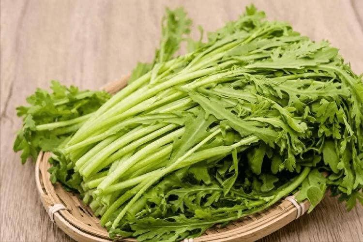 茼蒿是胃病“发物”？医生忠告：不想胃病来临，要少吃这4种蔬菜