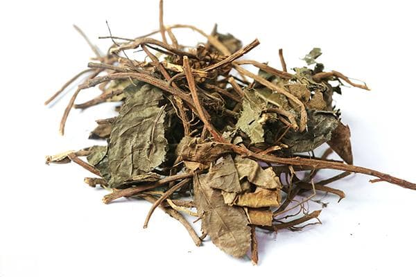 矮地茶：一种常见的中药材