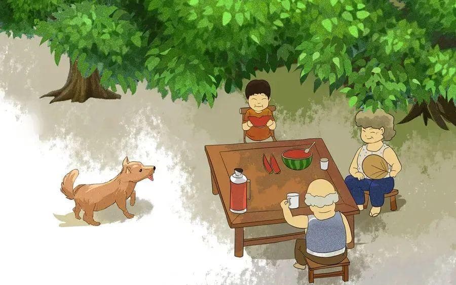 “夏天一碗汤，不用医生帮”，几款健脾养心汤水，转发收藏