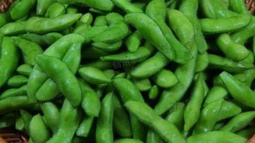减肥期间可以吃毛豆吗？营养师为你解答