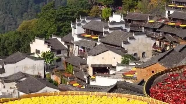 睡前喝水到底好不好？这些喝水误区你中招了吗？