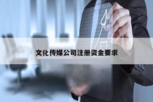 文化传媒公司注册资金要求