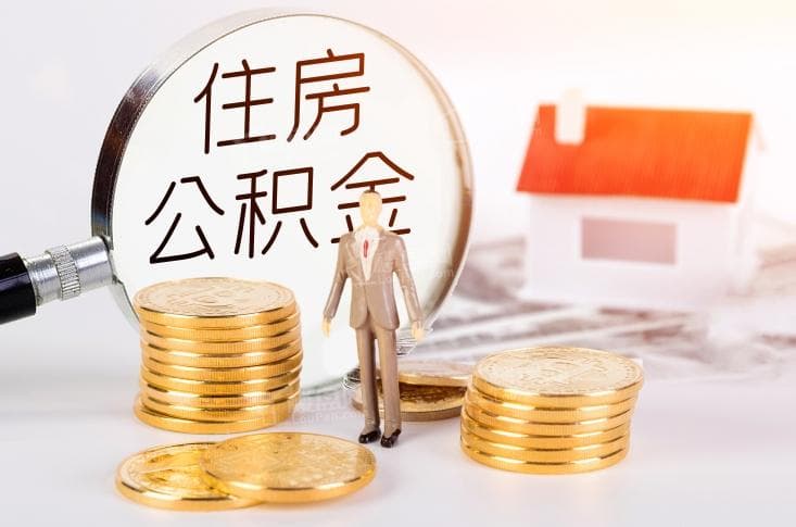 公积金离职提取：解析与操作指南