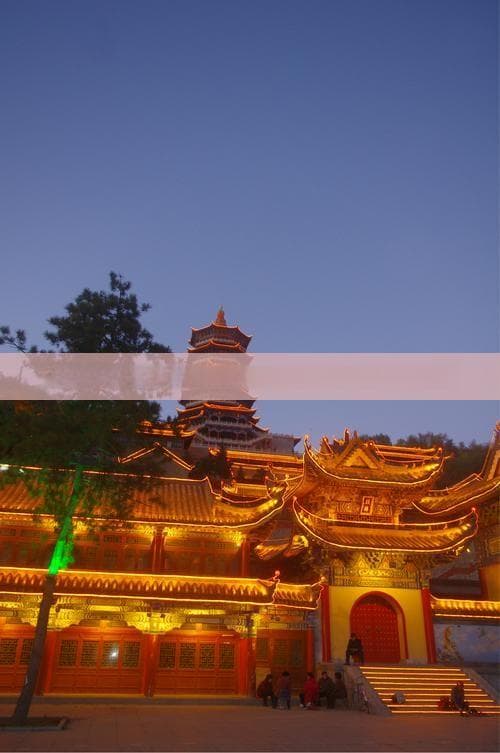带狗狗去海南：三种交通方式安全抵达，两大宠物友好景区推荐