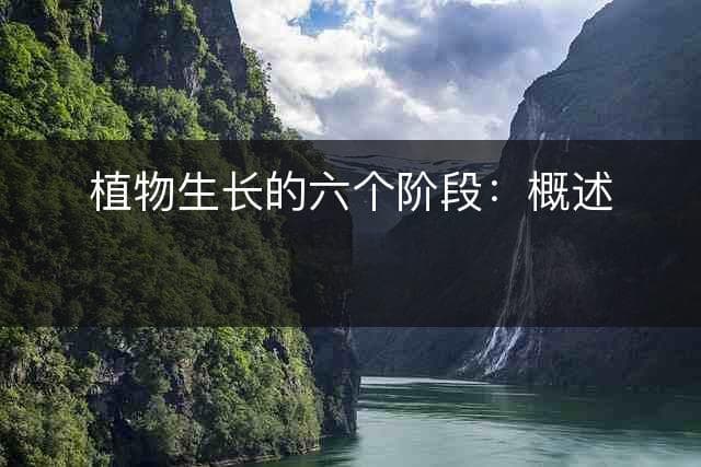 植物生长的六个阶段：概述与分析