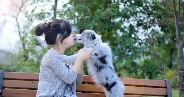 如何让小猫与人更亲近（15个方法让你的小猫与你更亲密）