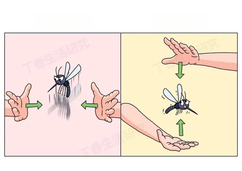你打蚊子的姿势一直是错的！真正管用的是它们