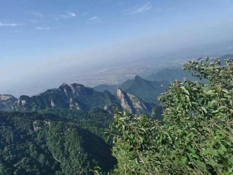 一文帮你理清楚12地支的刑冲克害，以及属性取象