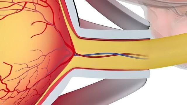 胡萝卜护眼功效获证实，科学食用方法是关键